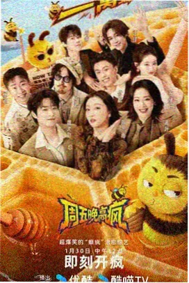 锯齿状高山石芽与矮化灌丛交错的坡面