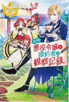 牧道沿线的风力发电机与草甸天际线